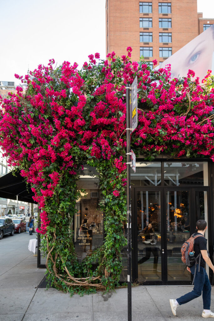 Pink flowering vines covering the restaurant's corner facade beside the pavement.